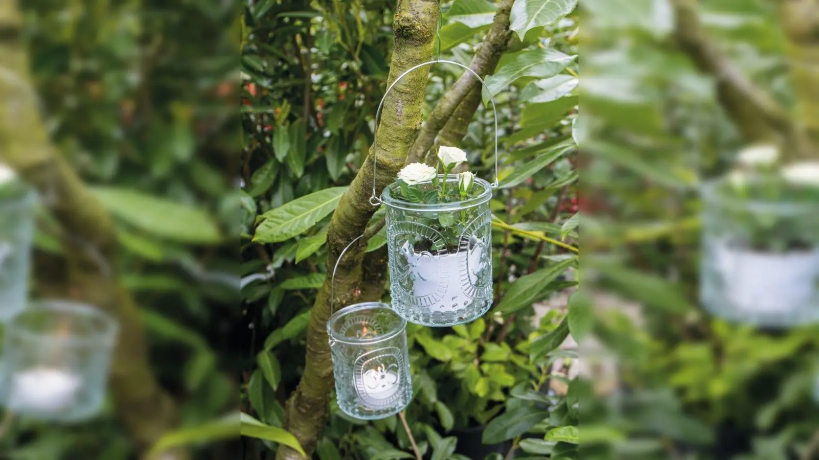 Alle weiß gekleideten Besucher erhalten bei der „White Night“ als Geschenk das Windlicht „Mia”. (Foto: Pflanzen-Kölle)