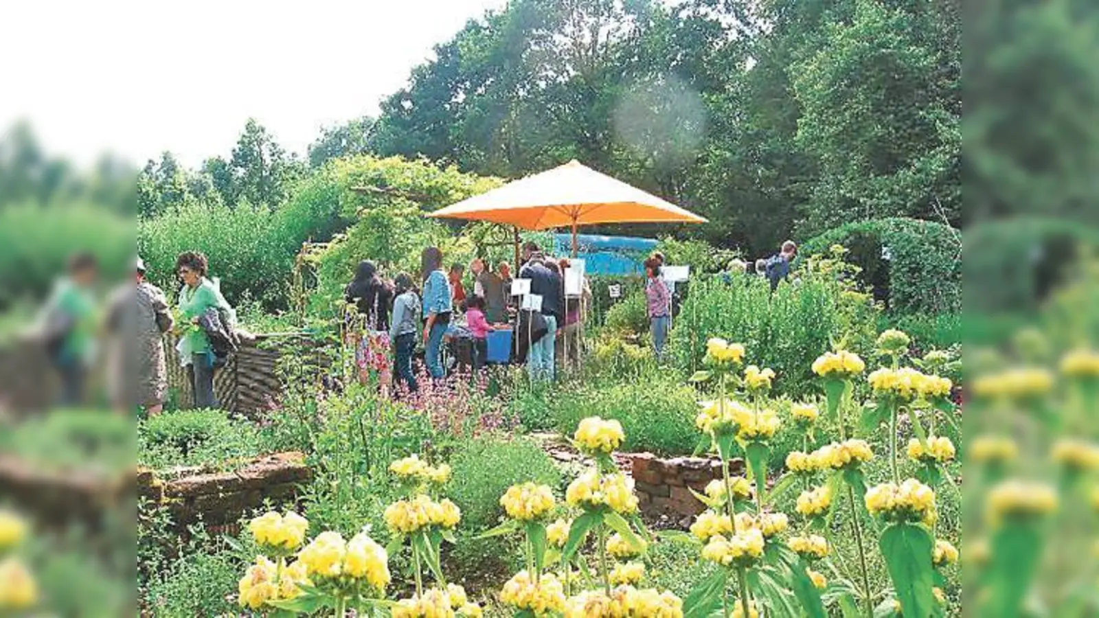 Im Ökologischen Bildungszentrum ist am Sonntag wieder »Erntetag«.	 (Foto: VA)