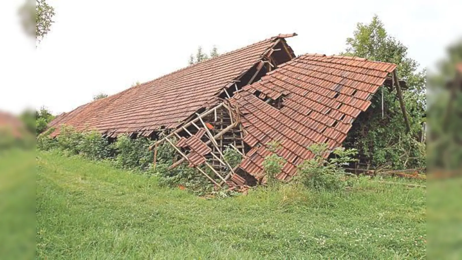 Auf dem Gelände der ehemaligen Ziegelei Josef Haid in Oberföhring gibt es noch einen Trockenstadel, den der Verein NordOstKultur erhalten möchte.	 (Foto: VA)