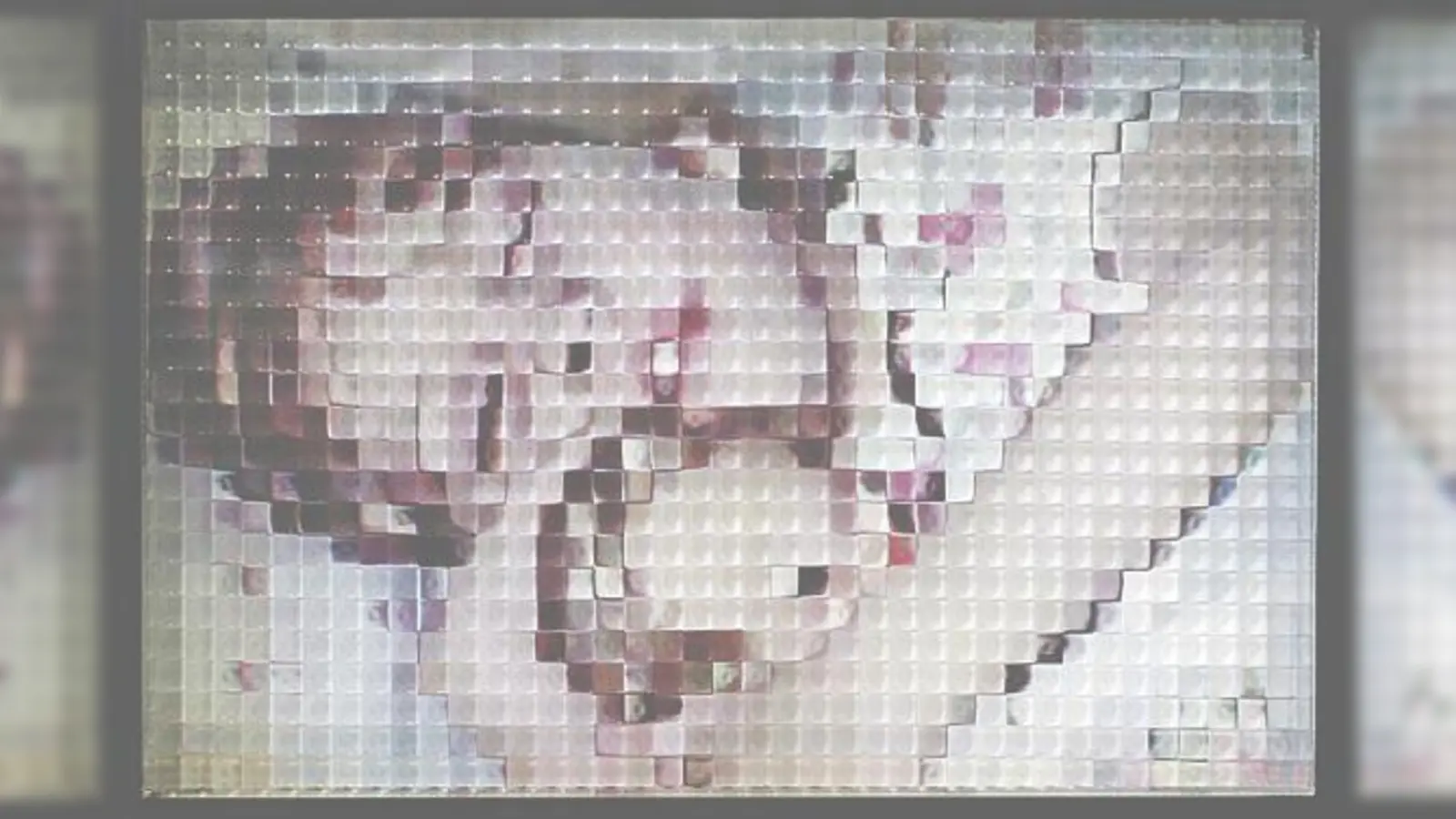 Carsten Noltes Werke werden in München mehrmals zu sehen sein	 (Foto: C. Nolte, Courtesy K. Wimmer)