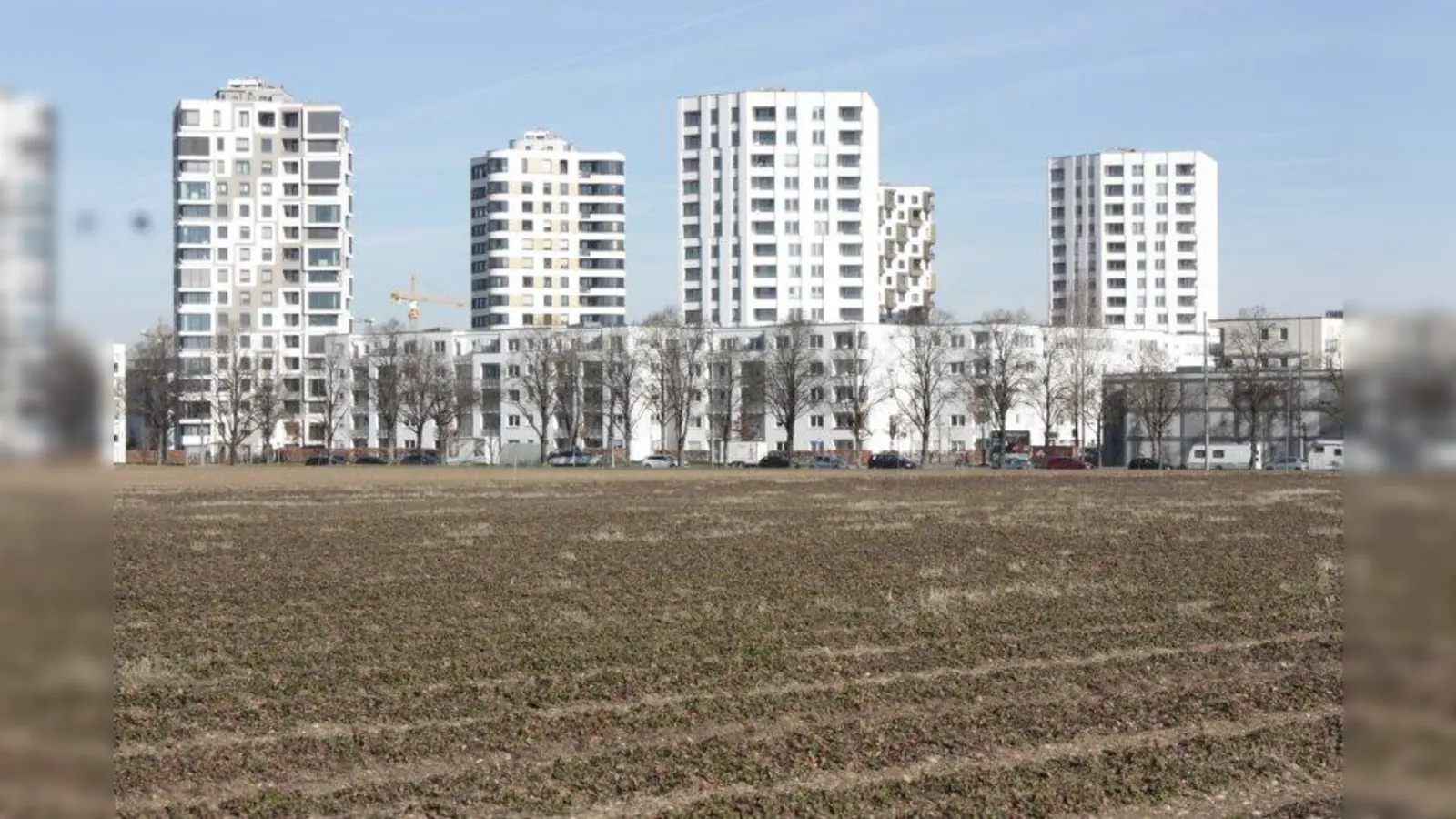 Die Felder südlich der Siemensallee sollen unbebaut bleiben, fordern die Bürger. Dazu stellten sie im März bei der Bürgerversammlung gleich vier Anträge. Die Senioreninitiative Ü60 aus der Südseite fordert, u.a. dieses Areal endlich als Landschaftsschutzgebiet auszuweisen. (Foto: job)