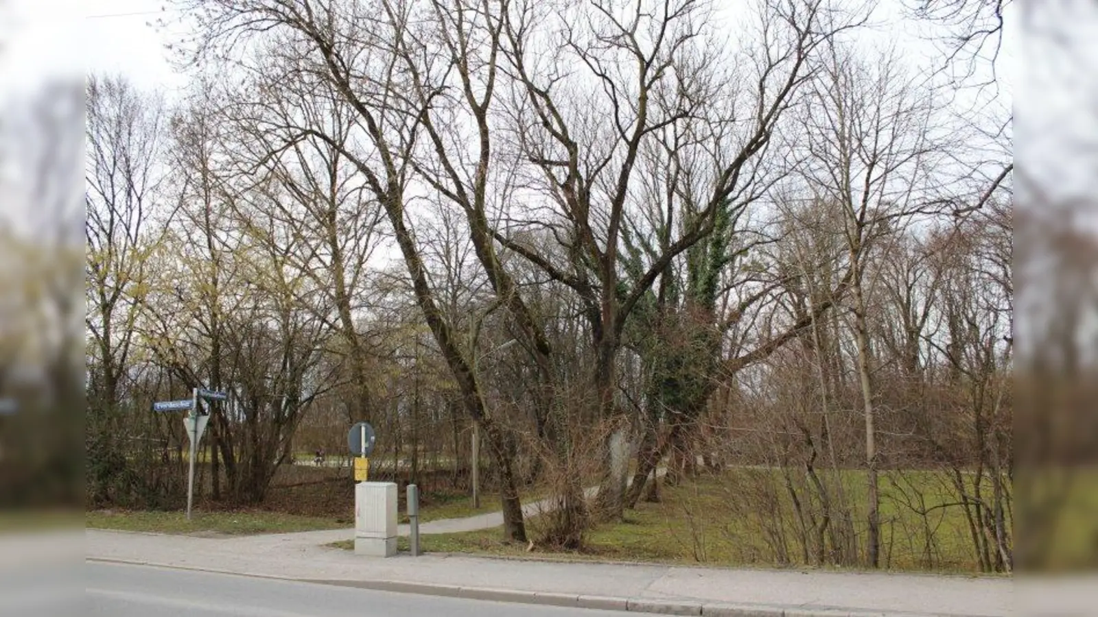 Auf Höhe des Hohenadelswegs könnte die neue Straße von der Eversbuschstraße in Richtung Goteboldstraße, also parallel zur A99 geführt werden. (Foto: sb)