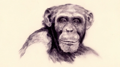 So könnte Udo ausgesehen haben.  (Grafik: Ruth Strähhuber)