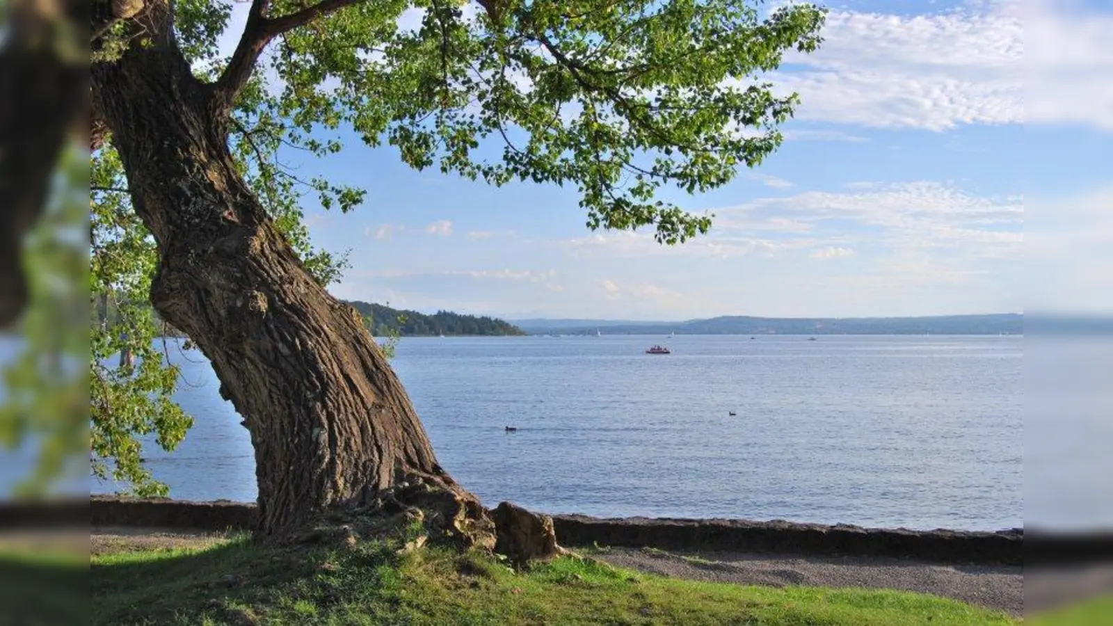 Die Wasserqualität der Seen im Landkreis wird jedes Jahr getestet. Auch dieses Jahr schnitten sie dabei wieder gut ab. (Foto: Archiv)