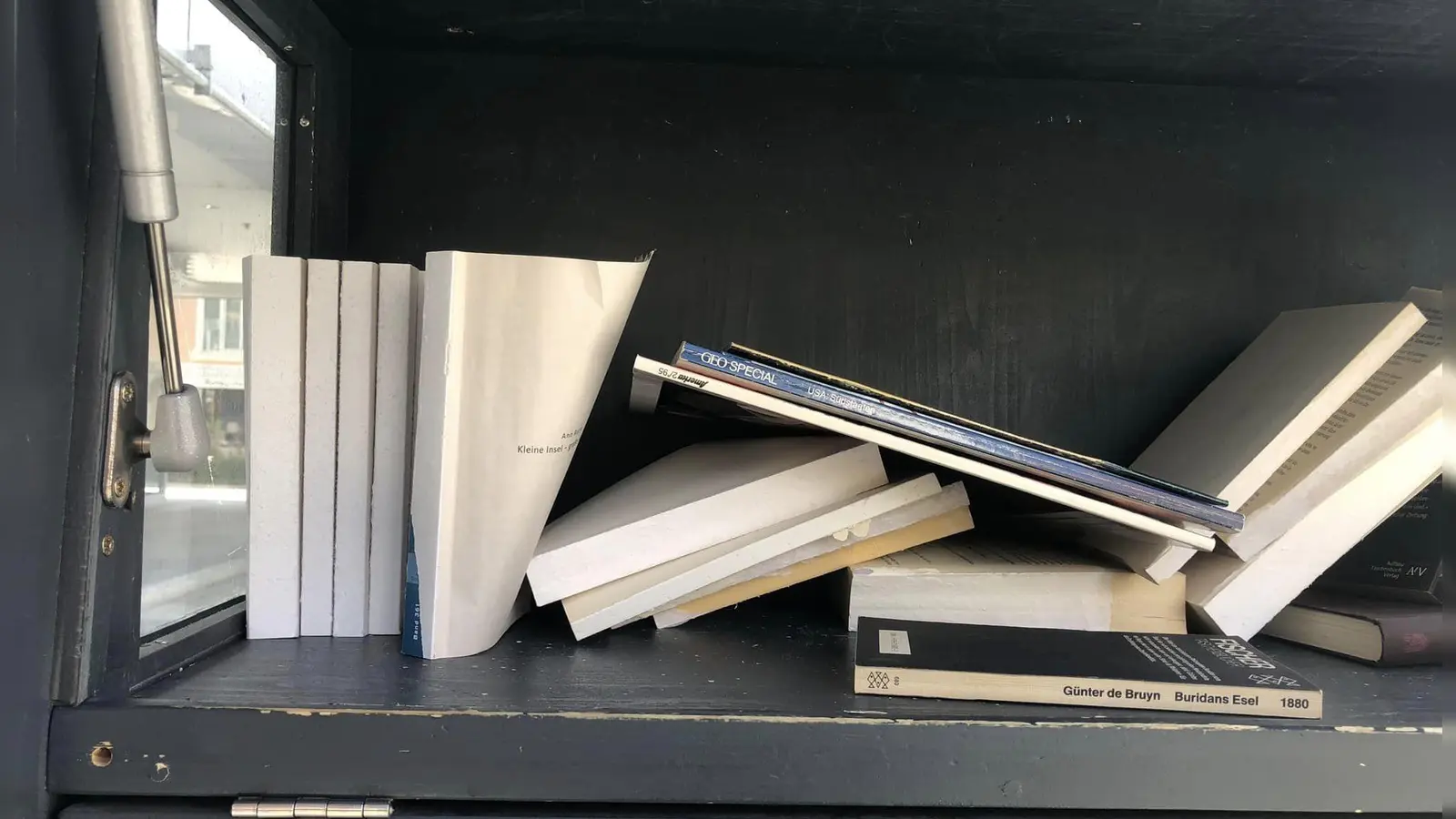 Bei den meisten Büchern waren die Einbände abgerissen, andere wurden mutwillig ins Wasser geschmissen.  (Foto: Anja Moritz)