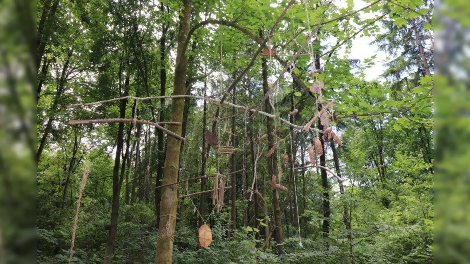 „Windspiel” von Angelika Dorscht: Das Windspiel zeigt das empfindliche Gleichgewicht in der Natur und die Schönheit sowie die positive Seite, die der Wind im Wald erzeugen kann. (Foto: Robert Galitz)