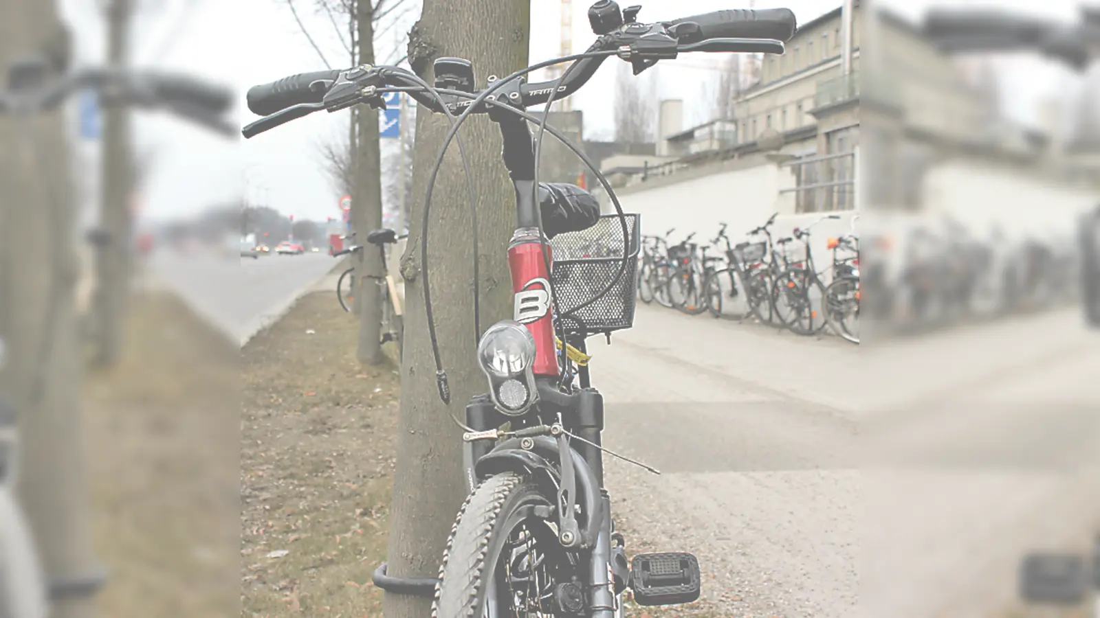 Vor allem eine Reihe von Fundrädern wartet auf einen neuen Besitzer. (Foto: kb)