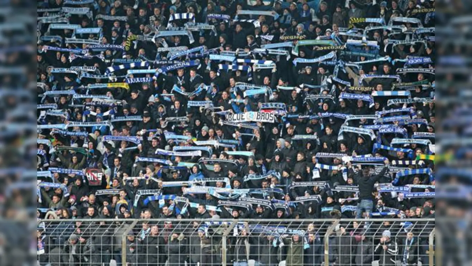 Solidarität mit dem SV Austria Salzburg: Die Münchner Löwen.  (Foto: A. Wild)