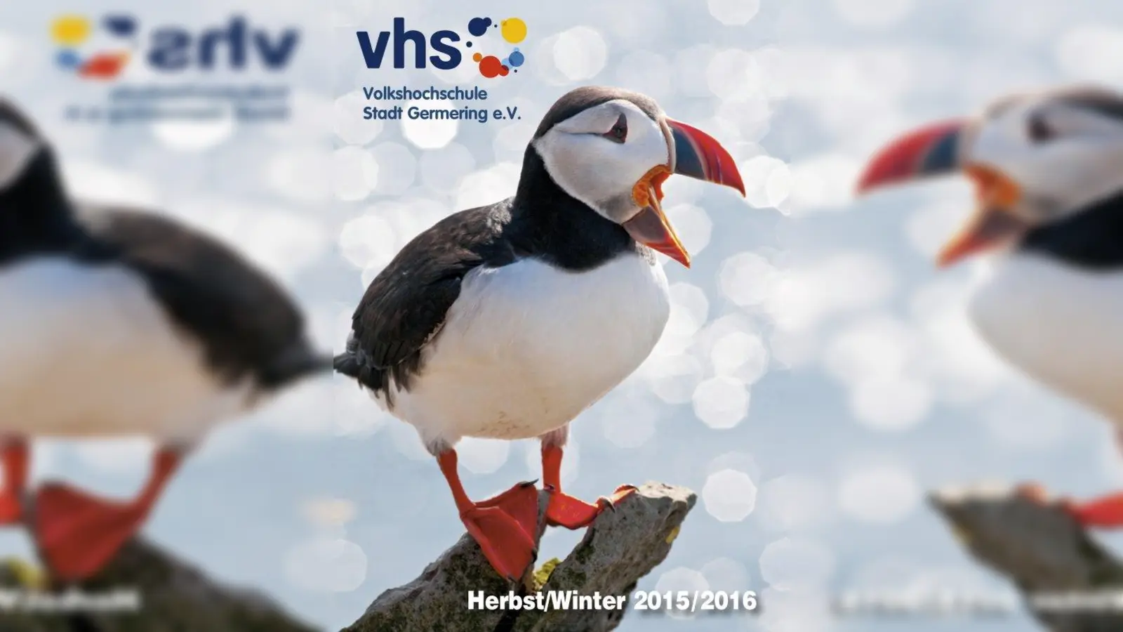 Frisch gedruckt ist das Herbst-/ winterprogramm der Volkshochschule Germering. (Foto: Cover)