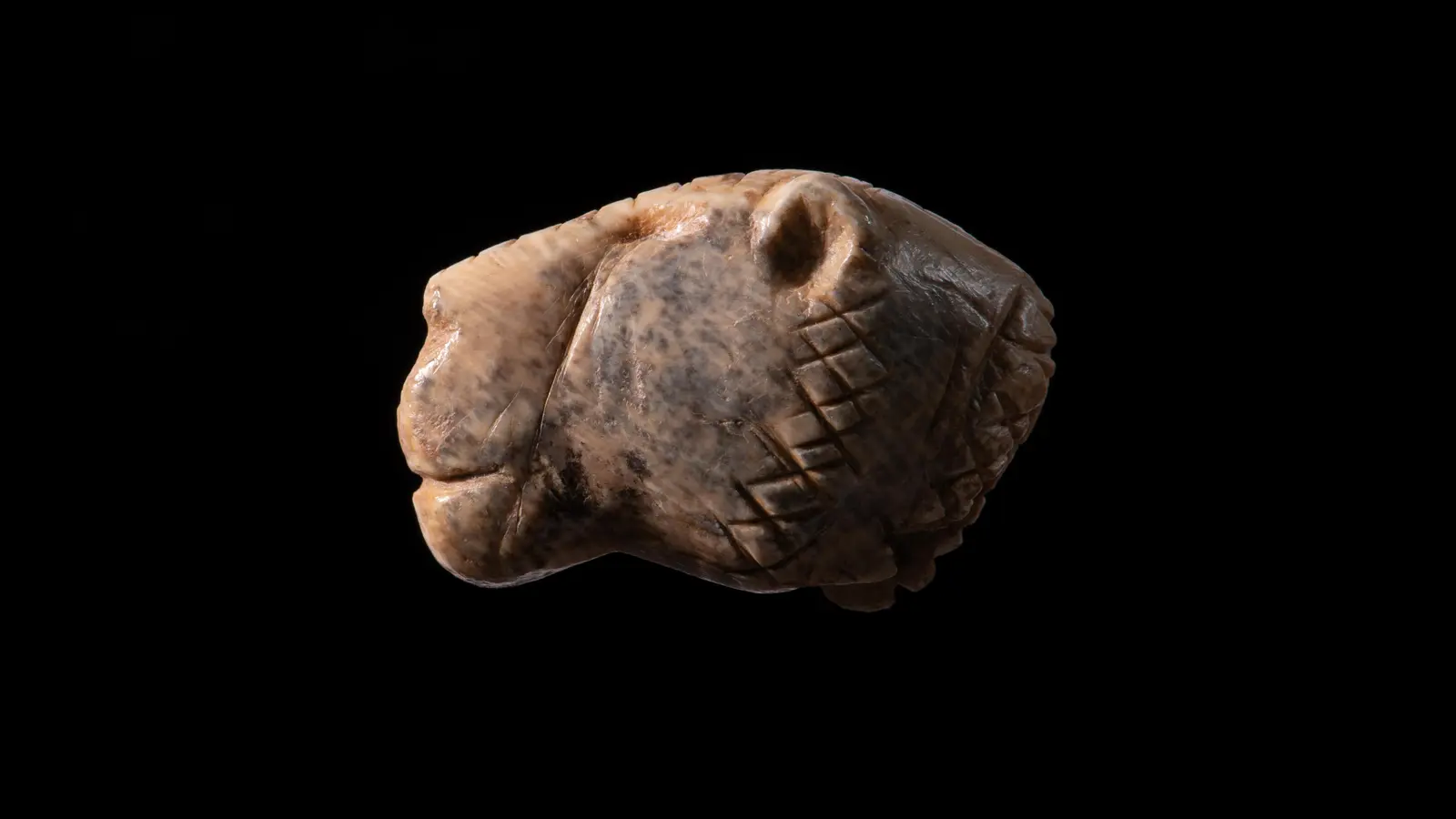 Dieses eiszeitliche Löwenköpfchen aus Elfenbein wurde in der Vogelherdhöhle bei Stetten ob Lontal (Baden-Württemberg) gefunden. Es stammt aus der Zeit zwischen 40.000 und 30.000 vor Christus. (Foto: © Landesmuseum Württemberg, Hendrik Zwietasch)