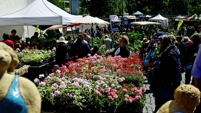 Die Freisinger Gartentage 2026 am 9. und 10. Mai 2026 werden noch attraktiver sein als 2025.  (Foto: Lex)