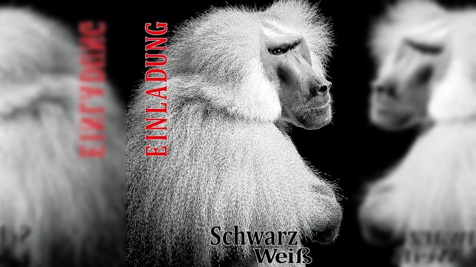 Einladung zur Ausstellung. 	 (Foto: Boris von Damnitz)