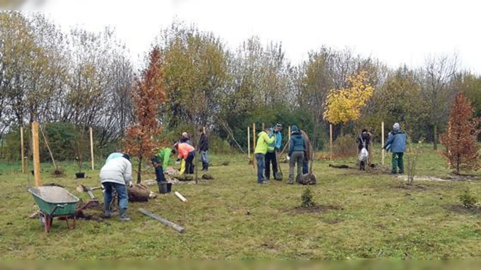 Viele motivierte Helfer packten bei der Pflanzaktion mit an.	 (Foto: VA)