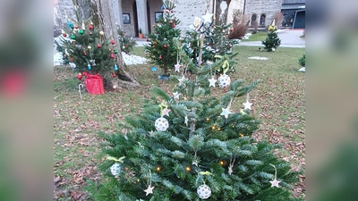 Viele Haarer Institutionen und Vereine schmückten am 2. Adventssonntag die Wiese vor der Konrad-Kirche mit Weihnachtsbäumchen. (Foto: FDP Haar)