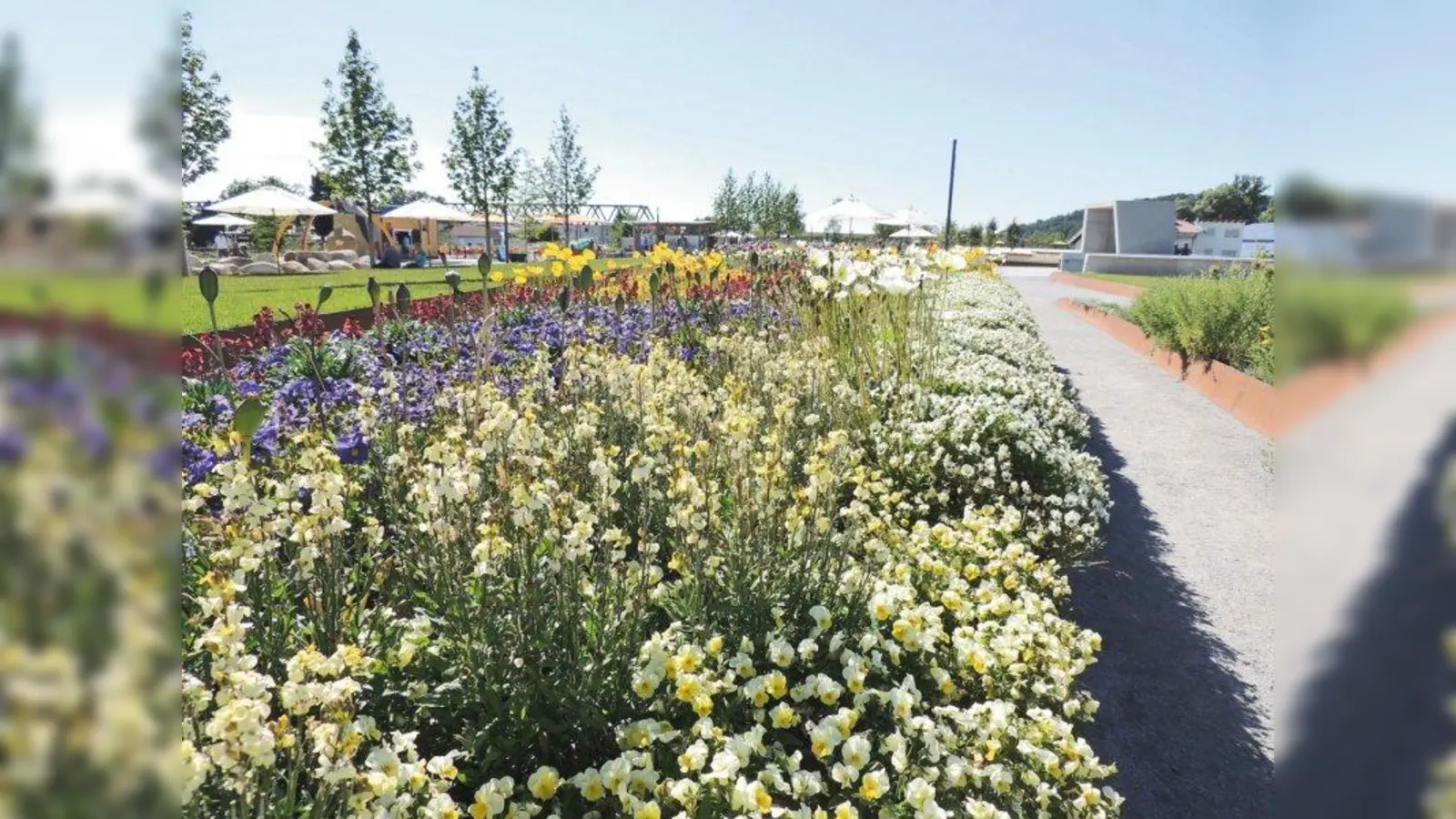 Deggendorf ein Blumenmeer: Die Landesgartenschau verspricht einen unvergesslichen Tag zwischen Donau und Bayerischem Wald. (Foto: Landesgartenschau Deggendorf)