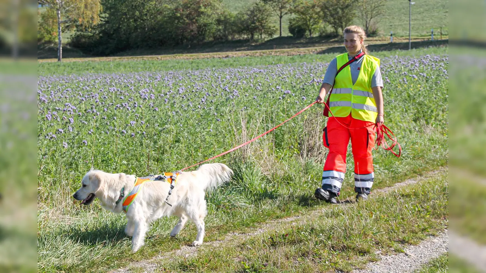 Wichtige Aufgabe: Die Johanniter Peißenberg trainieren regelmäßig ihr Hundestaffel. (Foto: Johanniter Peißenberg)