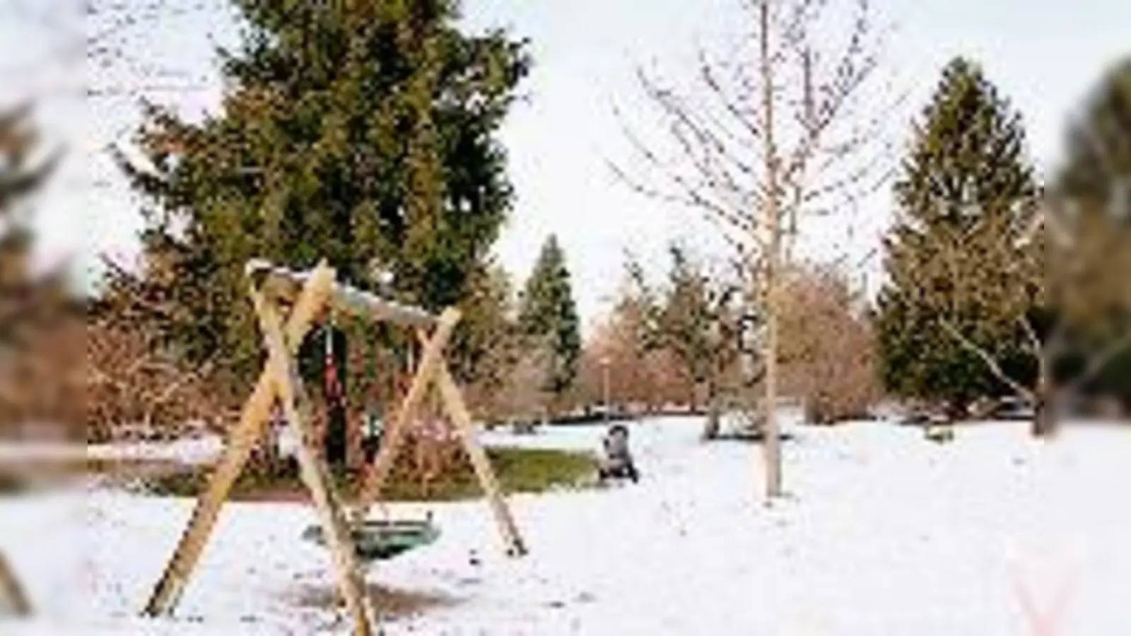 Eine Koexistenz von Spielflächen und gewachsenen Baumstrukturen will der BA auch nach der Umgestaltung der Parklandschaft an der Weißenseestraße gegeben wissen.   (Foto: HH)