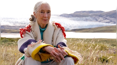 Eine bescheidene Frau und eine großartige Persönlichkeit: Die Verhaltensforscherin Jane Goodall verstarb am 1. Oktober mit 91 Jahren. Aus diesem Anlass zeigt das Filmmuseum den Dokumentarfilm „Jane&#39;s Journey”.  (Foto: Andre Zacher)