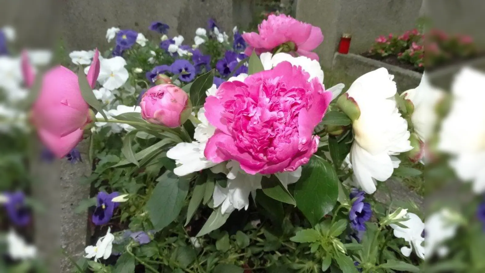 Kann beginnen: die Bepflanzung auf den Gräbern. Dafür steht auf den städtischen Friedhöfen Gießwasser zur Verfügung. (Foto: tab)