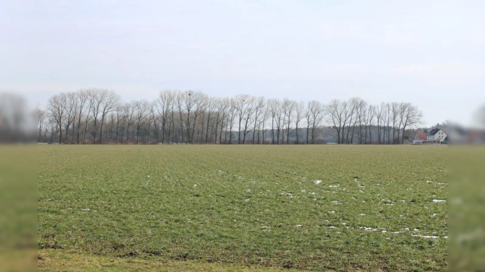 Im Krenmoos wird eine neue naturnahe Ausgleichsfläche entstehen. (Foto: sb)