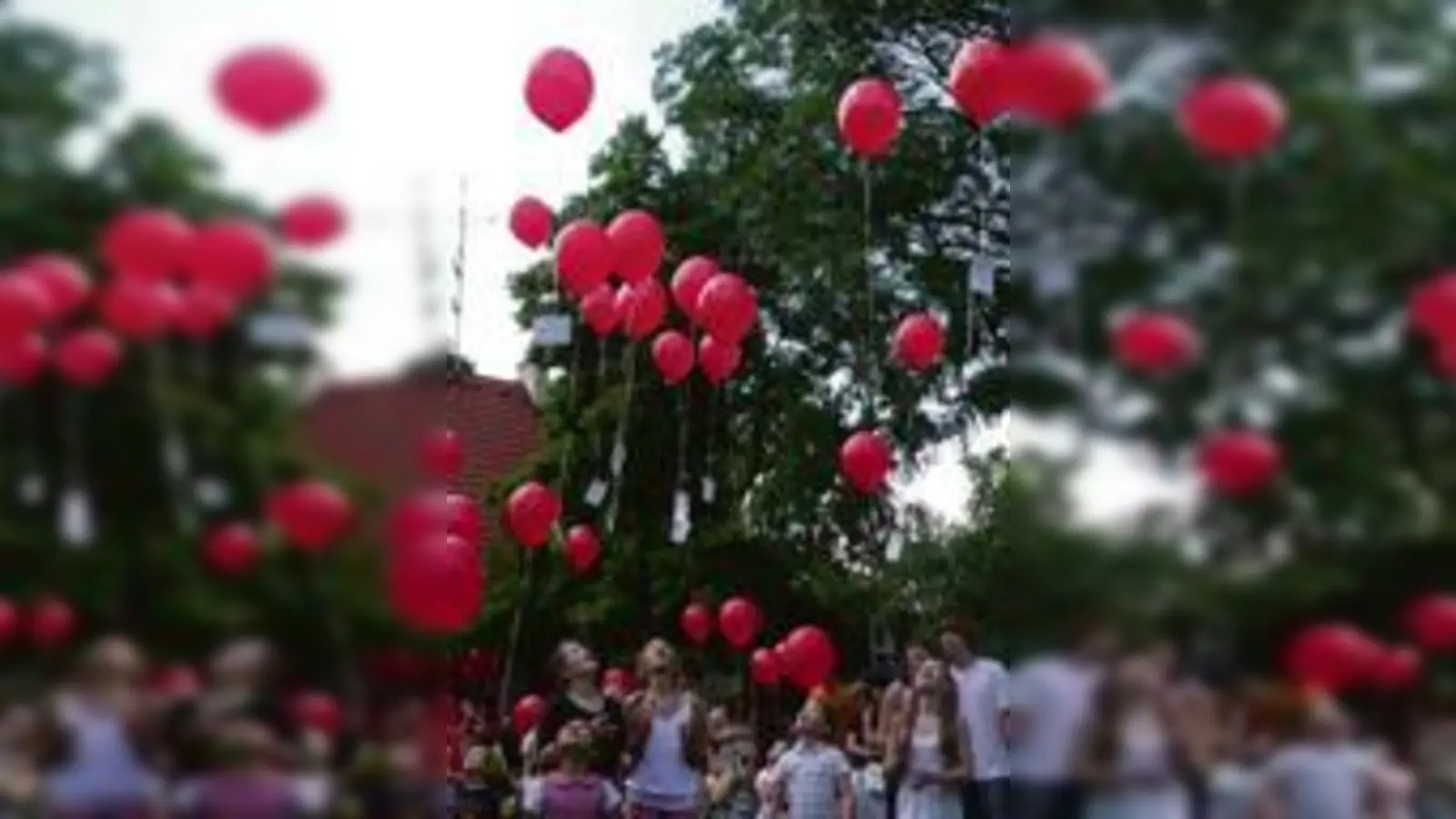 Die zahlreichen Besucher des ersten Aktionstages sorgten für Farbe am Himmel. 	 (Foto: VA)