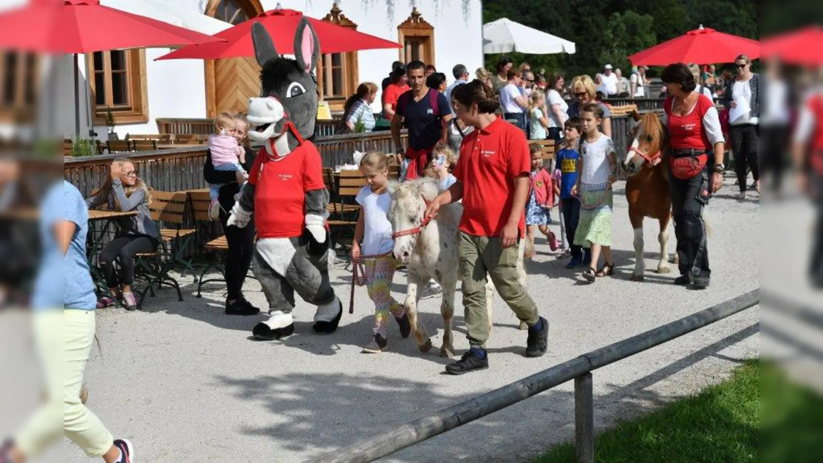 Beim Kinderfest auf Gut Aiderbichl kommen die Gäste in Kontakt mit den geretteten Tieren. (Foto: Gut Aiderbichl)