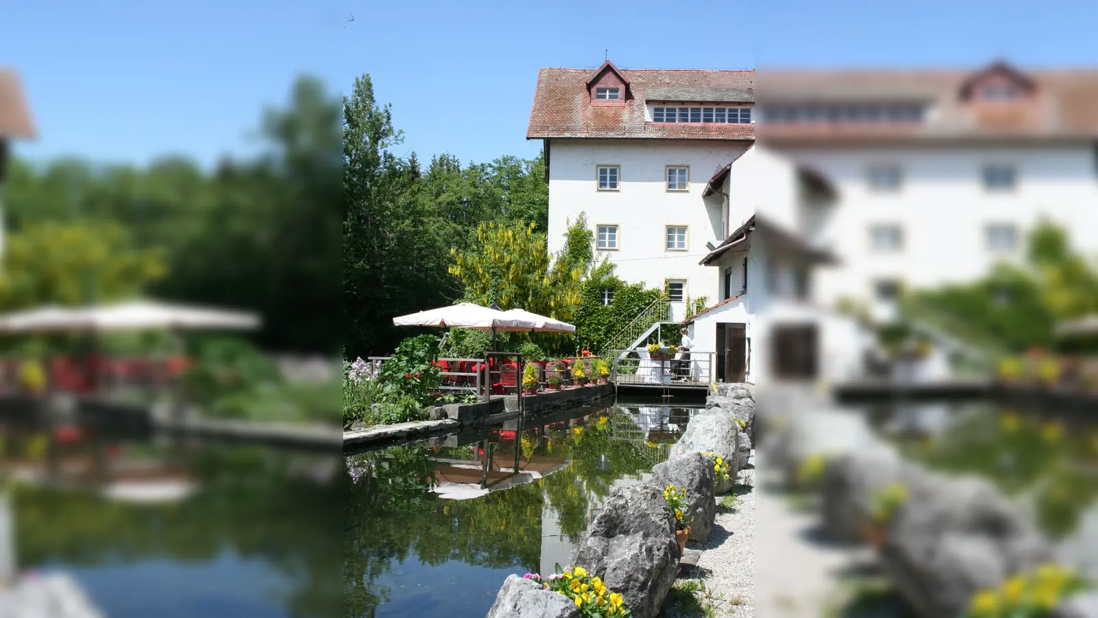 Den Weg vom Korn zum Mehl kann man in der Forstinninger Wolfmühle nachvollziehen. (Foto: VA)