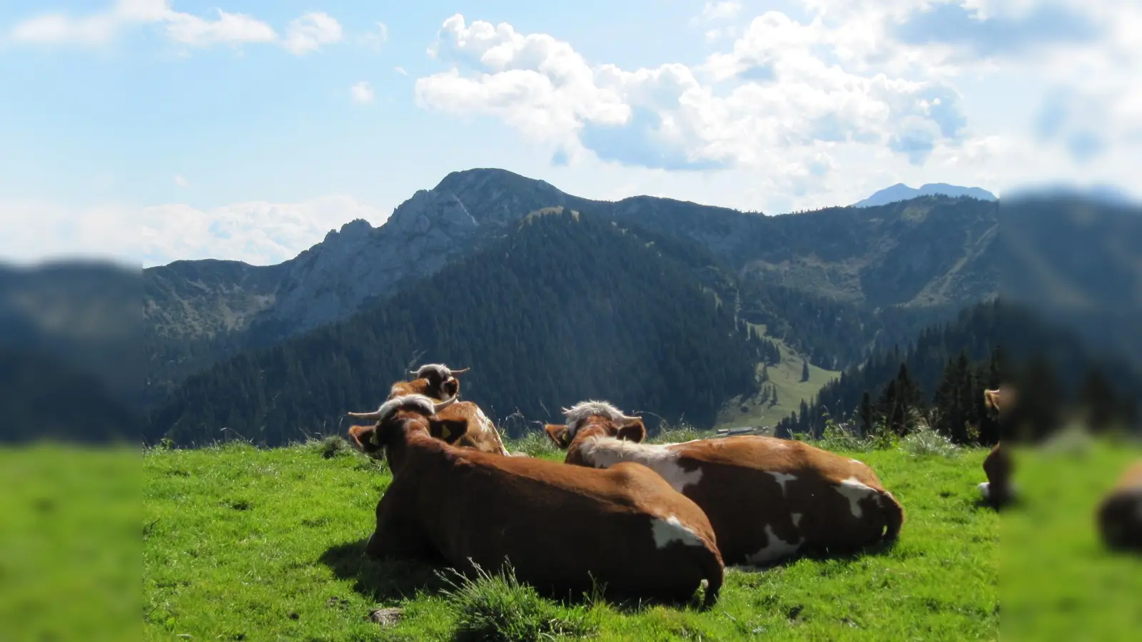 Die Welt ist einfach zu schön, um sie vor die Hunde gehen zu lassen, deshalb sollten wir alle an einem Strang ziehen um den Klimaschutz voran zu treiben. (Foto: hw)