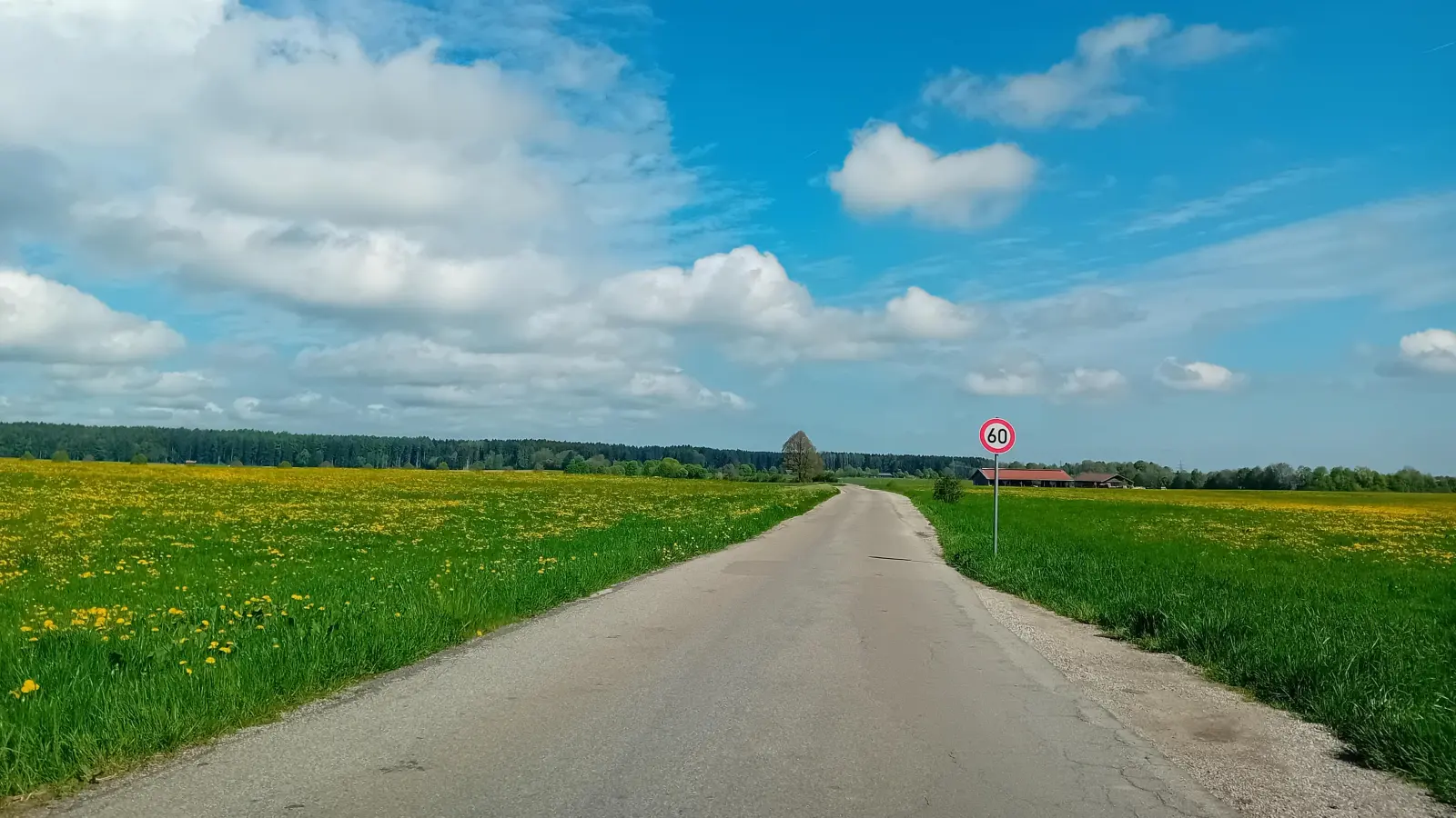 Die Gemeindeverbindungsstraße 9 zwischen dem Pendlerparkplatz an der B13 und der Verbindungsstraße Thann – Sufferloh wird saniert.  (Foto: Gem. Holzkirchen)