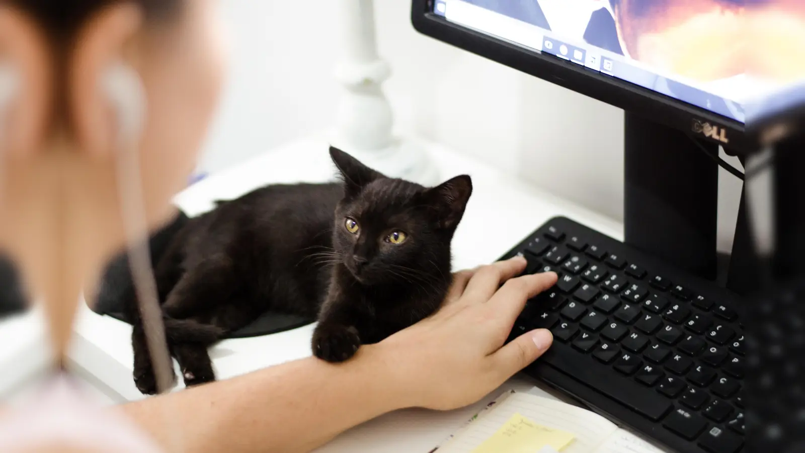 Wer im Homeoffice arbeitet, sollte auf den Stromverbrauch seiner Geräte unbedingt achten. Hier kann man viel Energie und Geld sparen. (Foto: CCO)