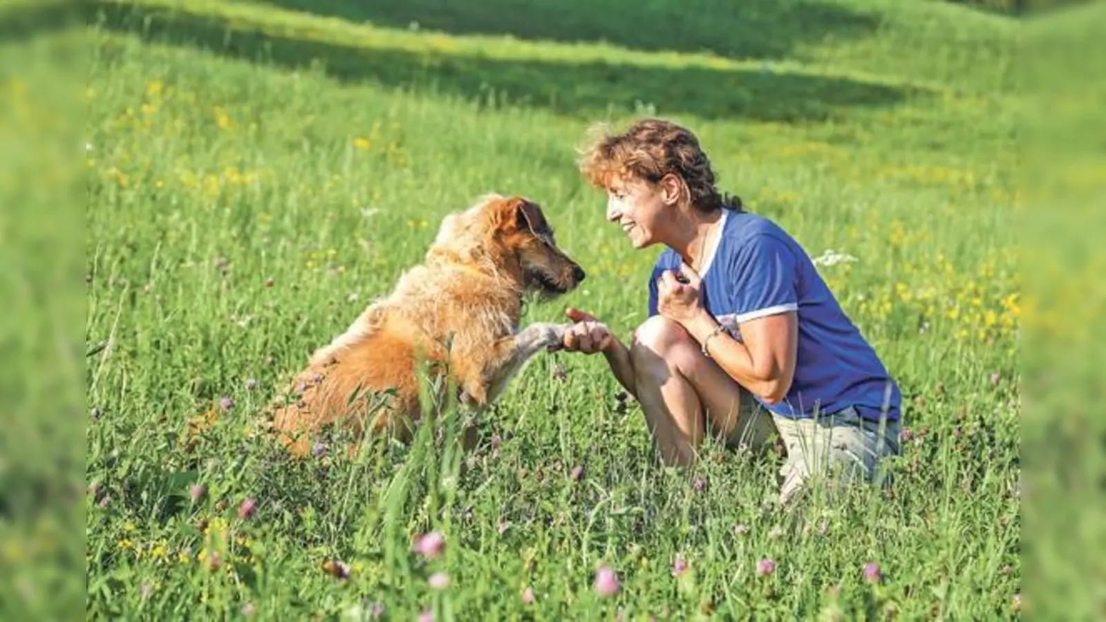 Durch die Besuche bei Senioren oder Menschen mit Behinderung wollen die ehrenamtlichen Besuchshundeteams die Johanniter neue Lebensfreude spenden.	 (Foto: Johanniter)