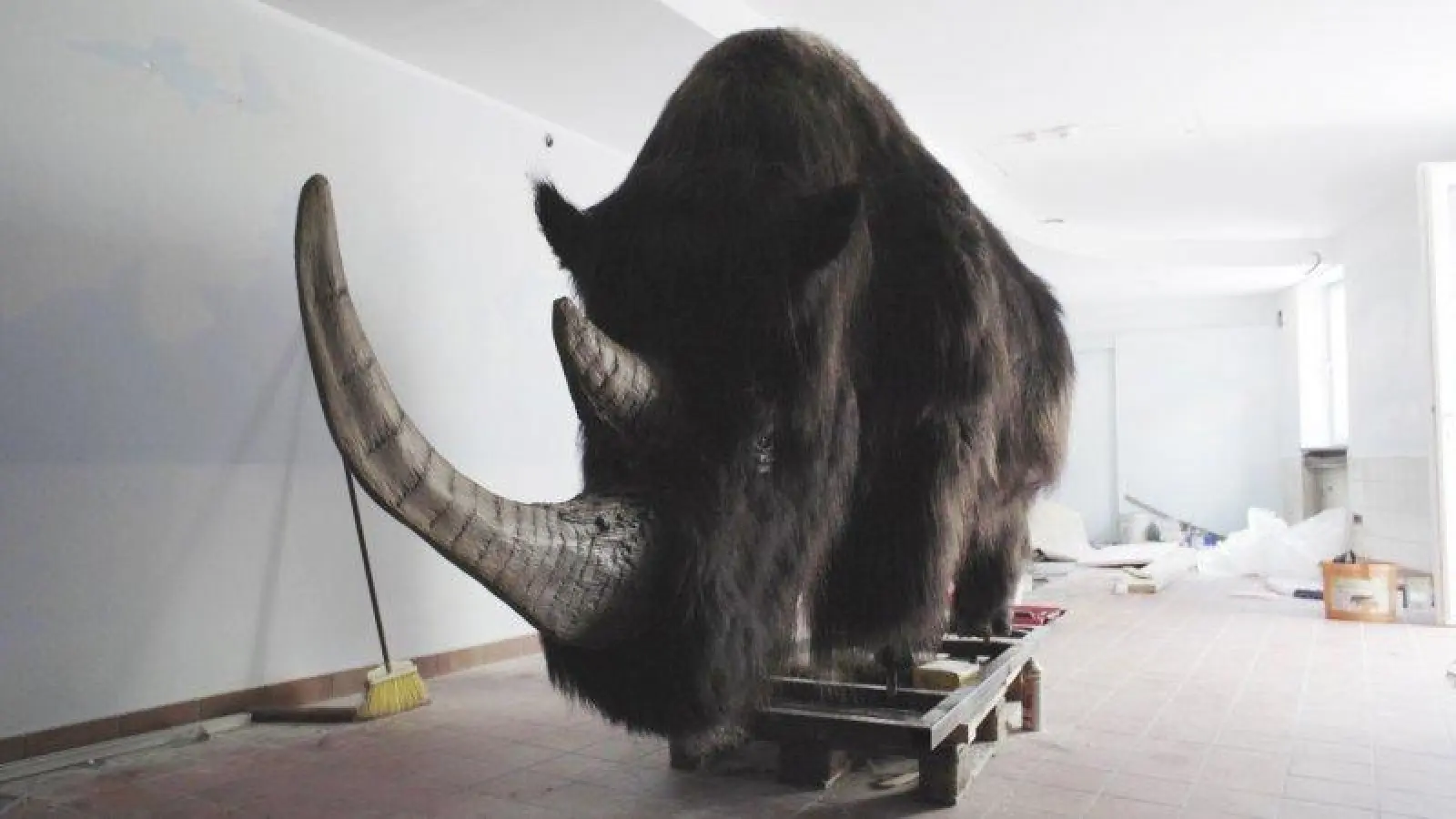 Drei Videoarbeiten über Raum und Zeit sind ab Samstag, 2. Februar, im Kösk zu sehen. (Foto: Moritz Hauthaler)