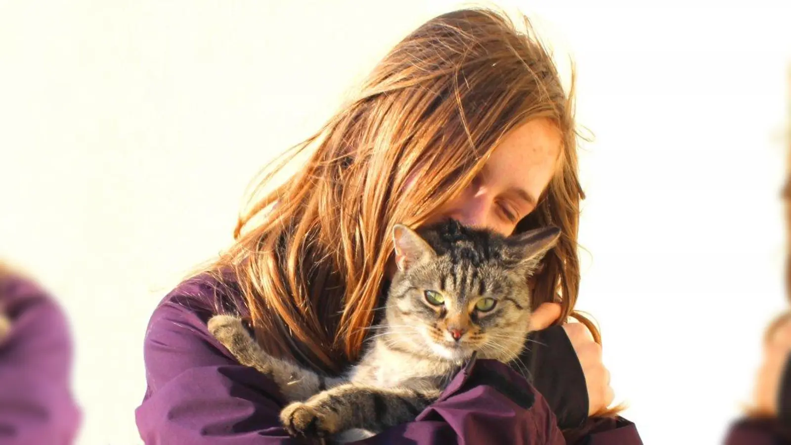 In ruhiger Umgebung gelassener: Auch für solche Tiere, denen die Bedingungen im Tierheim zu sehr zusetzen, werden Pflegestellen gesucht. (Foto: Christina Schmid/pixelio.de)