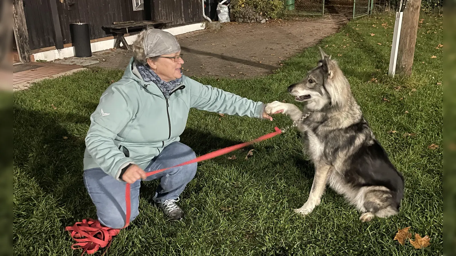 Wolfshündin Jodie gibt ihrem Frauchen Michaela brav die Pfote. (Foto: pst)