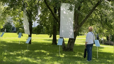Aufmerksam studiert diese Besucherin im Gilchinger Rathauspark die Fahnen mit den Gedichten. (Foto: pst)