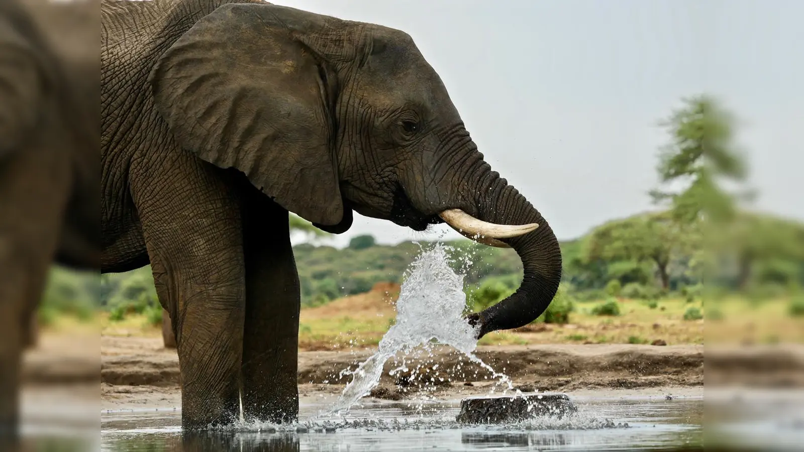 Das Mohr-Villa Team lädt in die Situlistraße 75 ein. (Foto: VA)