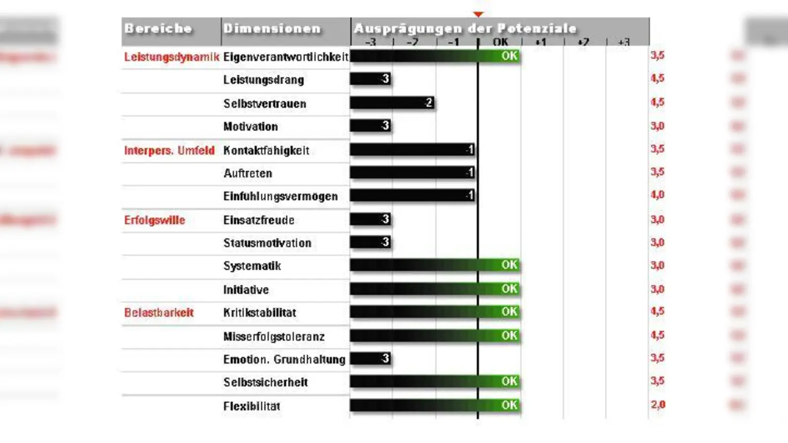 Carolins DNLA-Potenzialanalyse „Soziale Kompetenz” („Schwarz” bedeutet „Potenziale schwach entwickelt”; „Grün” bedeutet „Potenziale ok/gut entwickelt”) (Foto: Axel Jagemann)