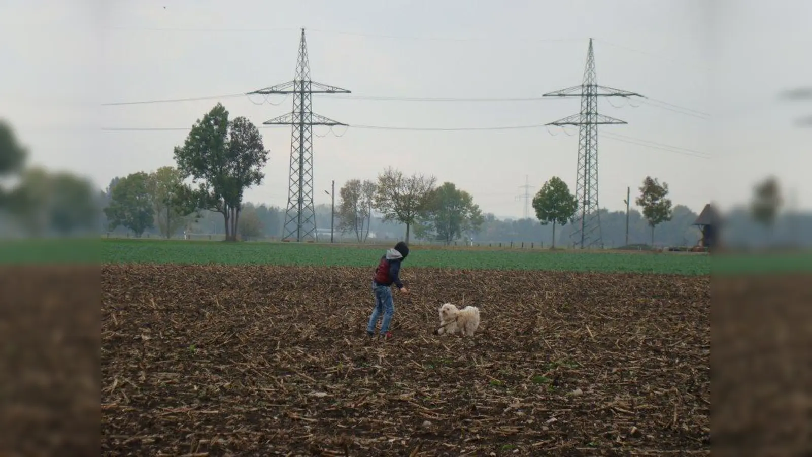 Wo heute ein weites Feld ist, sollen 390 Wohnungen entstehen. (Foto: pst)