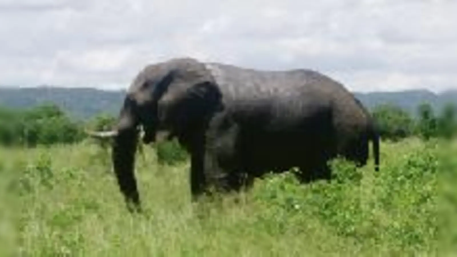 Die Schönheit der Natur in Afrika ist einfach  (atemberaubend.Foto: Hopfensberger)