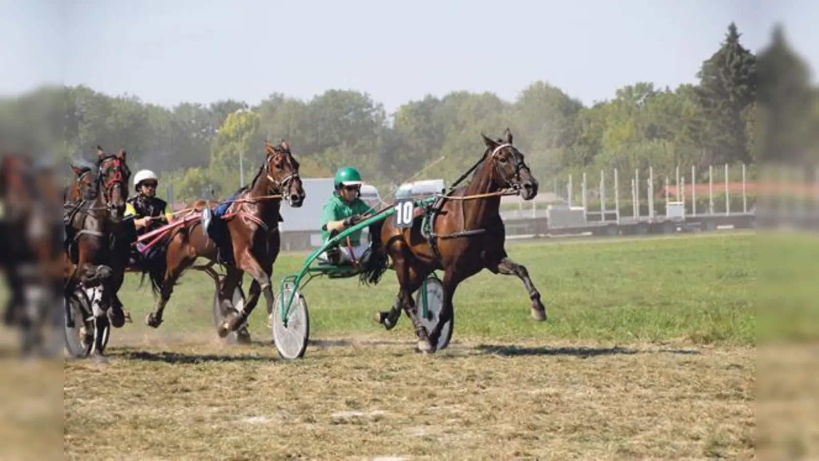 Großer Sport erwartet die Besucher des Herbstfestrennens auf den Geislinger Ängern.	 (Foto: Rennverein)