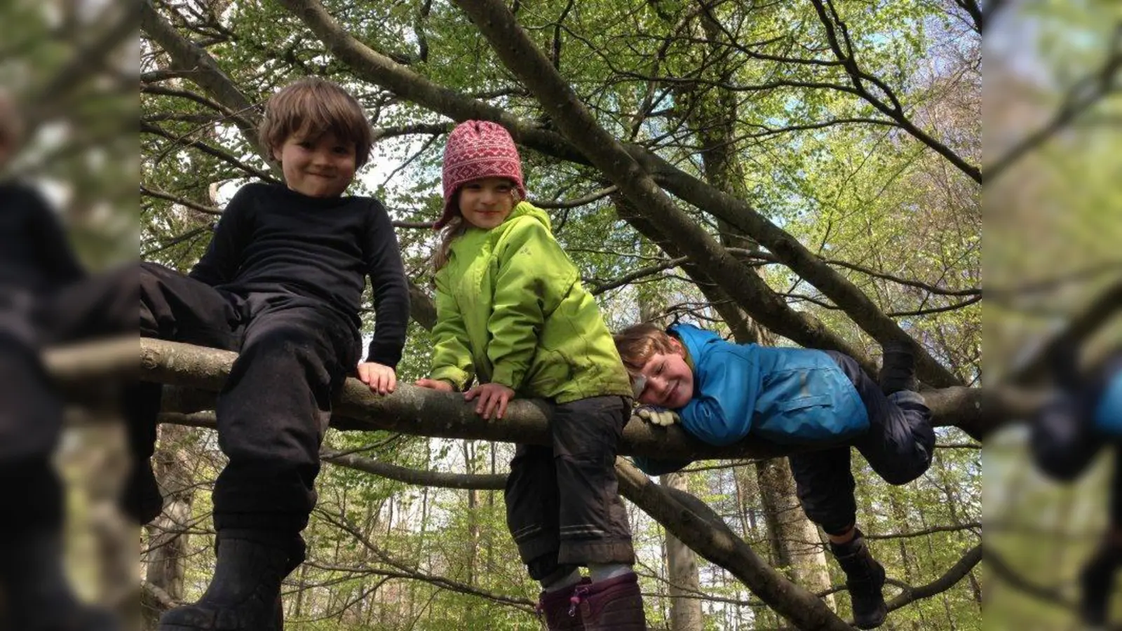 In Bernried gibt es ab September den ersten Waldhort im Landkreis. Dort sollen Kinder in der Natur toben, spielen und lernen können. (Foto: Waldkindergarten Bernried)