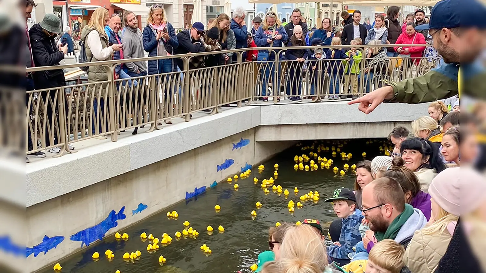 Das Freisinger Entenrennen auf der offenen Moosach, Obere Altstadt Freising (Foto: Active City Freising)