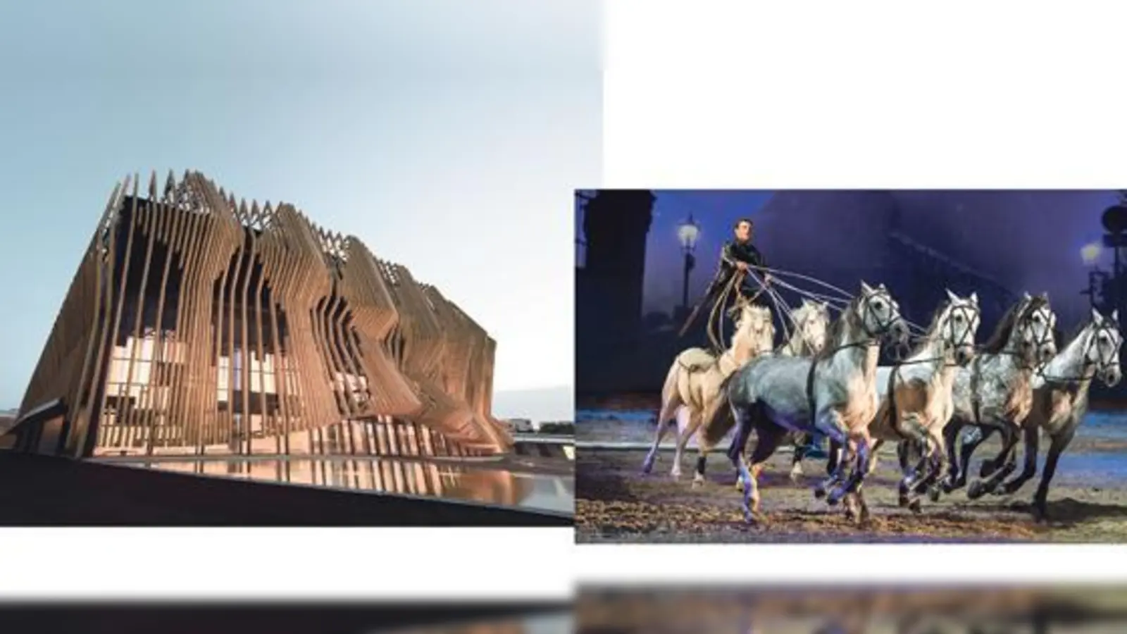 Das Showerlebnis EQUILA verlangt von Pferden und Künstlern höchste Disziplin. So erschaffen sie gemeinsam eine Traumwelt, in die sich die Zuschauer hineinbegeben.  (Foto: VA)