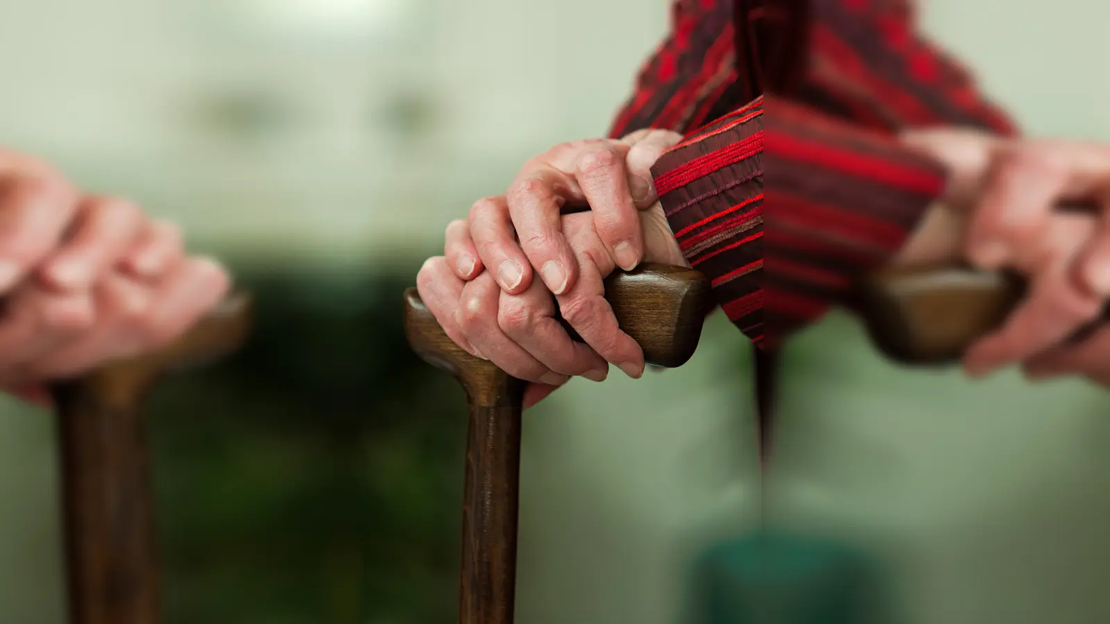 Wer pflegebedürftig wird, kann Leistungen von der Pflegekasse beziehen. Allerdings muss zuvor der Pflegegrad festgestellt werden.  (Foto: Erwin Wodicka /Colourbox.com)