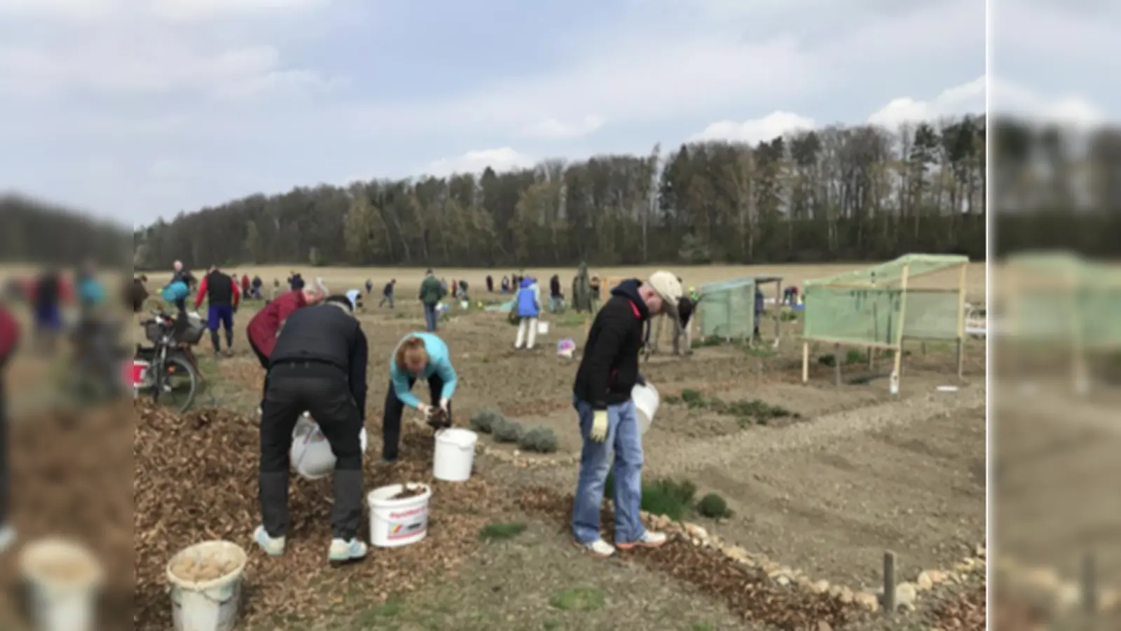 78 Parzellen konnte der Gartenbauverein Poing-Angelbrechting an die Gartler übergeben. (Foto: Verein)