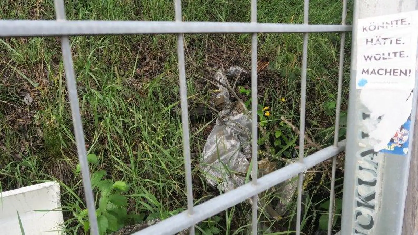 Der Bezirksausschuss fordert den Unrat zu entsorgen: Am Hang auf dem Gelände gegenüber der Großmarkthalle in der Thalkirchner Straße leben Eidechsen. (Foto: lsc)
