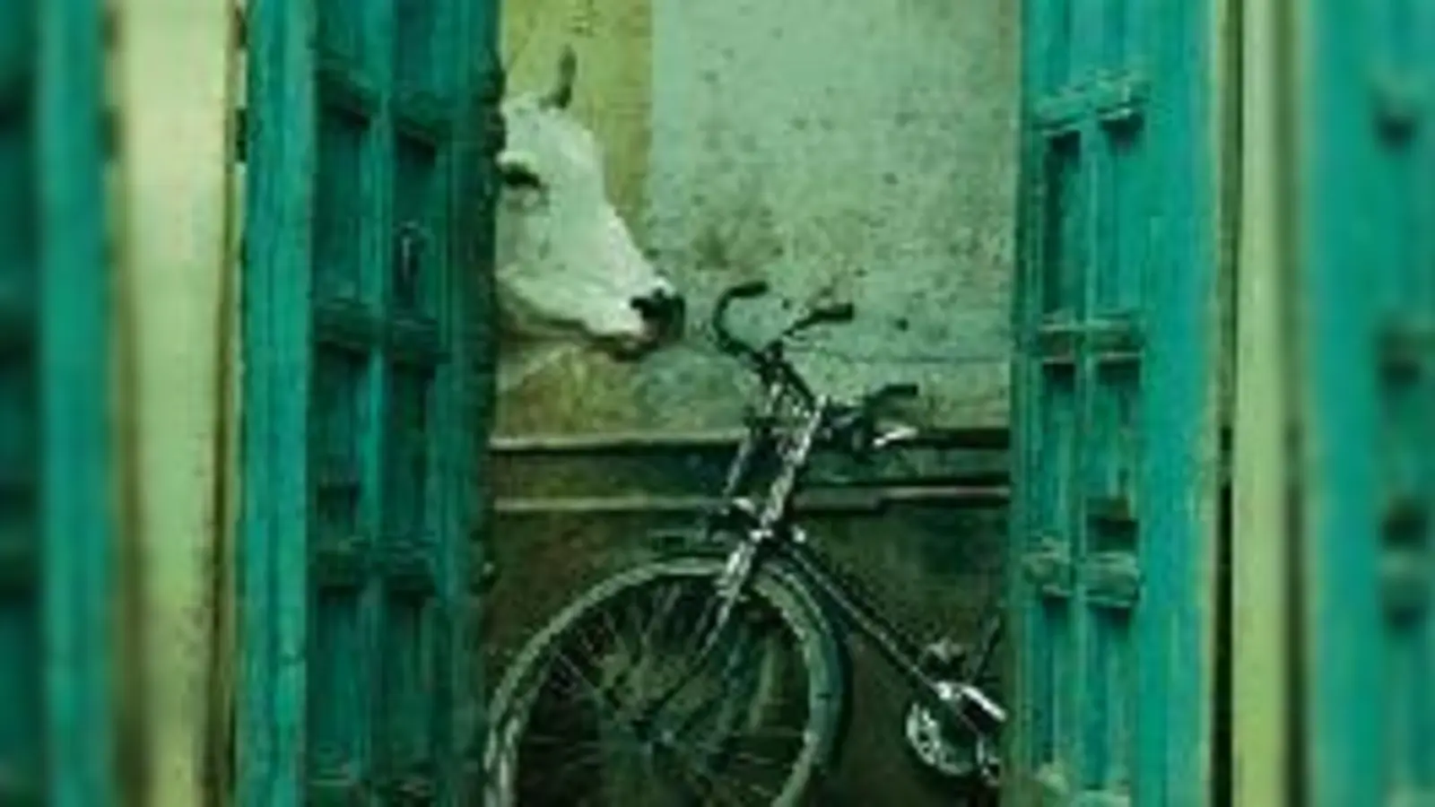 Für westliche Augen Ungewöhnliches entdeckte Thomas Bäumel überall in Indien und auf dem Weg dahin. Am 13. Januar zeigt er es in  (Garching.Foto: VA)