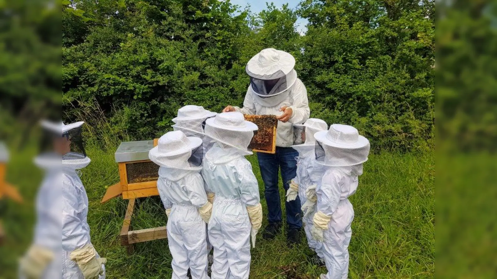 Lehrbienenpfad in Lochham: Der Imkerverein will aufklären und informieren. Zum Tag der Offenen Tür am 19. Mai gibt es viele Infos und Mitmach-Aktionen rund ums Imkern und um die Bienen. (Foto: Uschi Grünenwald)