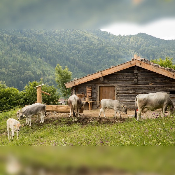 Am Rand des altbayerischen Dofes gelegen. (Foto: Markus Wasmeier)