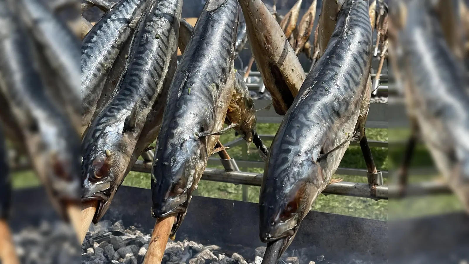Selbst gegrillten Steckerlfisch gibt es bei den Sportfischern am 2. August. (Foto: hw)